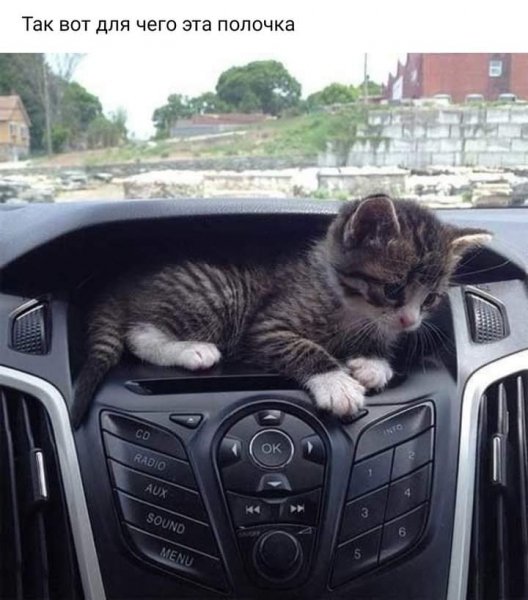 FB IMG 1626888386360