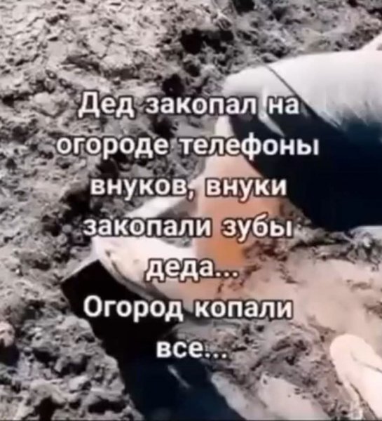 FB IMG 1775991801075