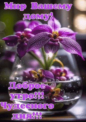 Анимированная открытка мир вашему дому