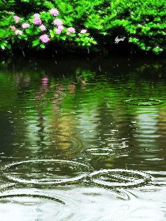 file_57302010