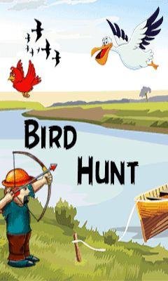 Bird Hunt