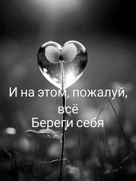 B8ac36b2-81fd-42c8-8610-a749e4cdd5d3