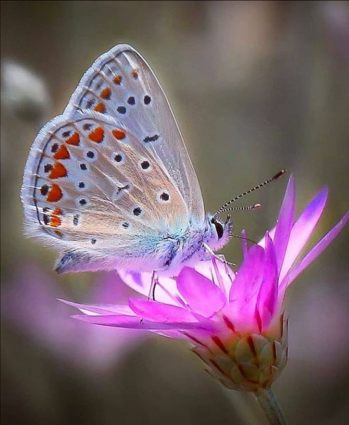 Screenshot 2021-07-16-18-59-32