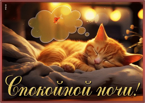 Анимированная открытка спокойной ночи (3) (1)