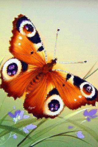 file_46993392