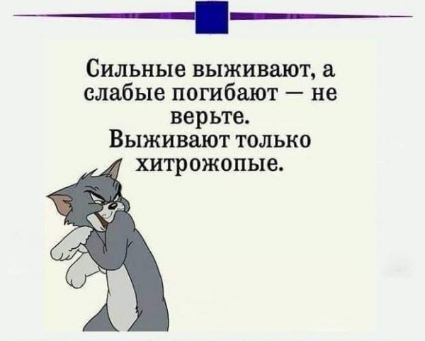 FB IMG 1732526645238