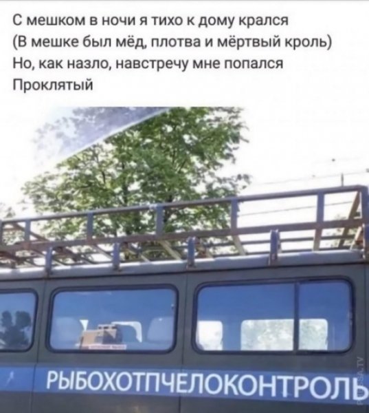 file_102417721
