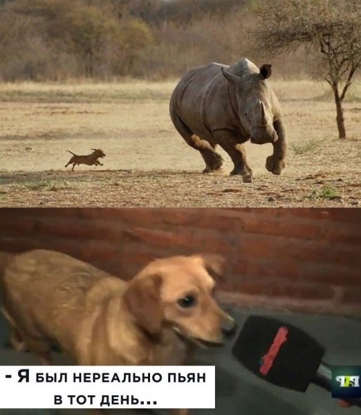 IMG 20201224 004643 077