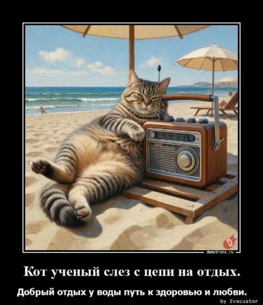 Кот на отдыхе