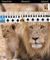 9 в 1 Solitaire HD Samsung 240x400