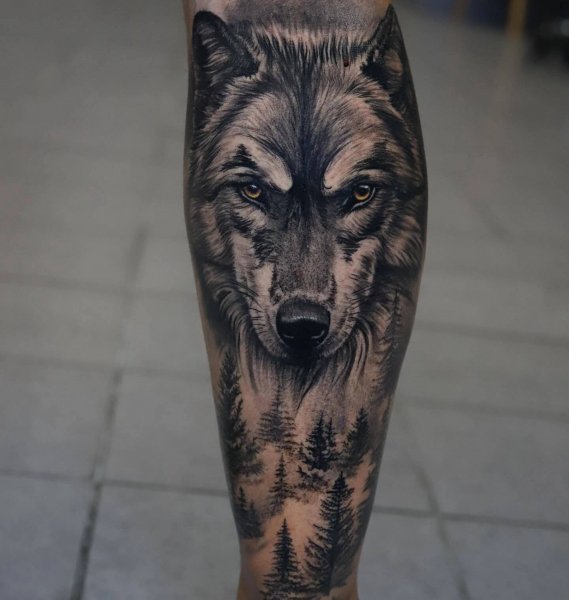 IMG 20260125 185643 488