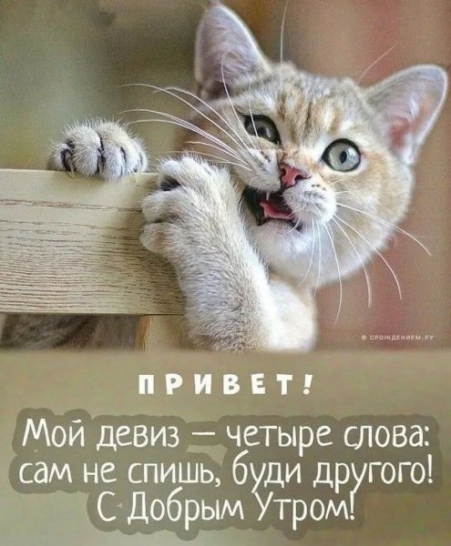 FB IMG 1771737463362