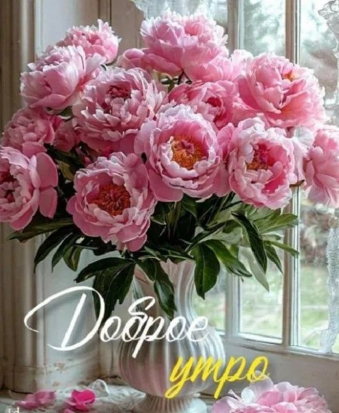 Доброе утро!