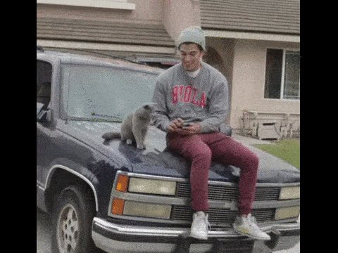 Крутой кот))