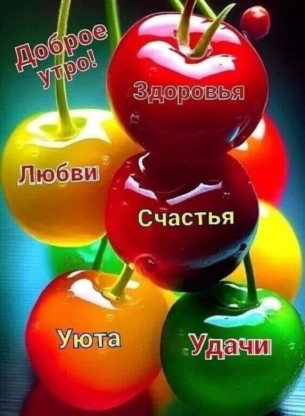 IMG-20260211-WA0004