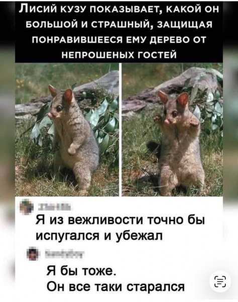 FB IMG 1774638268642