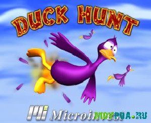 Microinvest Duck Hunst v.1.06