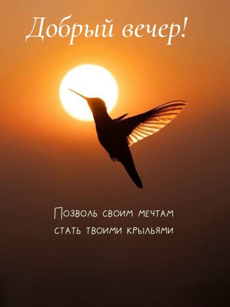 Добрый вечер