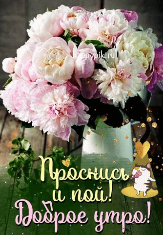 Доброе утро