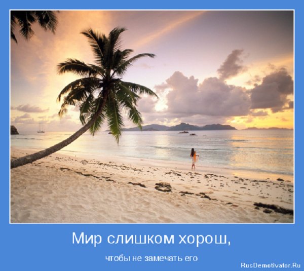 Мир слишком хорош, чтобы не замечать его