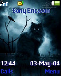 Черная кошка