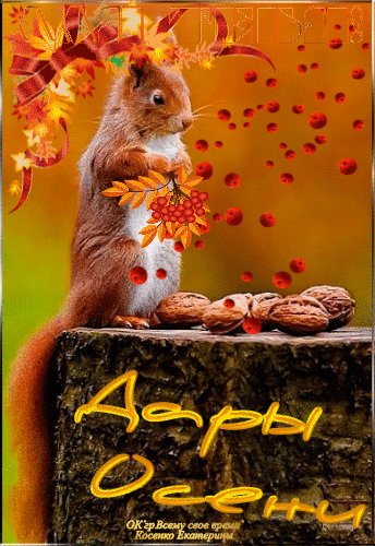 b951c86a262c7194c7e5d0778d9