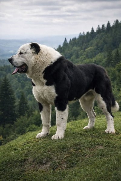 FB IMG 1769560267848