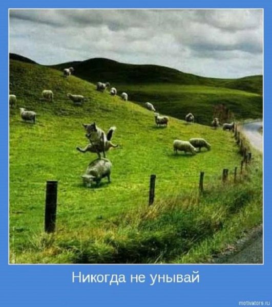 Никогда не унывай