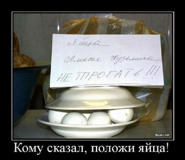 Кому сказал положи яйца