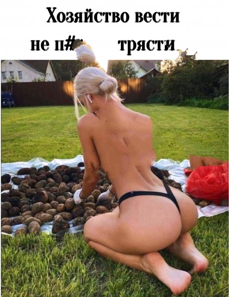 file_87087455