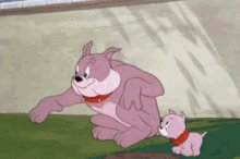 Tom-and-jerry-spike