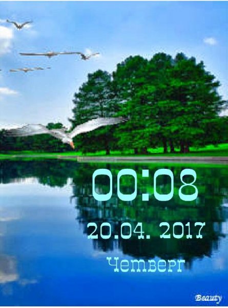 Чайки над водой