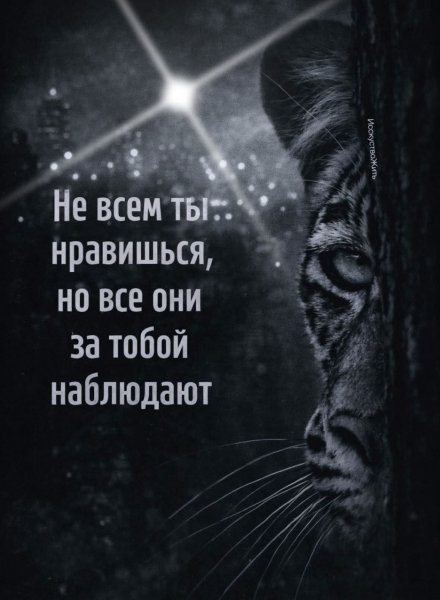 FB IMG 1774628427249