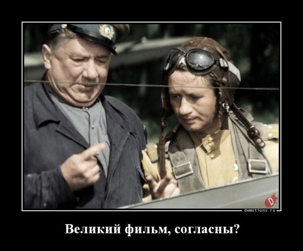 d5df01e1ffe39c2f 4 (23)