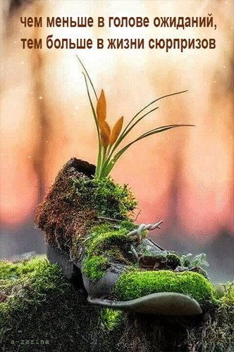 Анимированная открытка чем меньше в