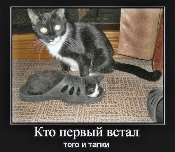 IMG 20251220 225758
