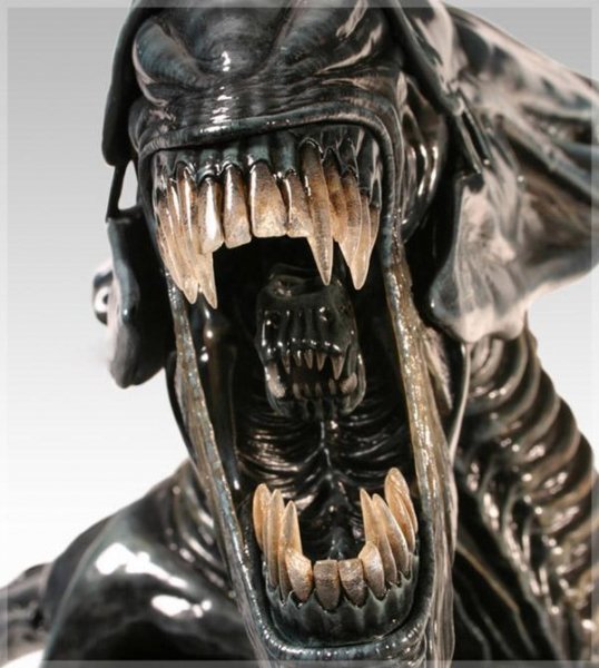 Королева чужих