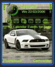 White mustang car shelbi