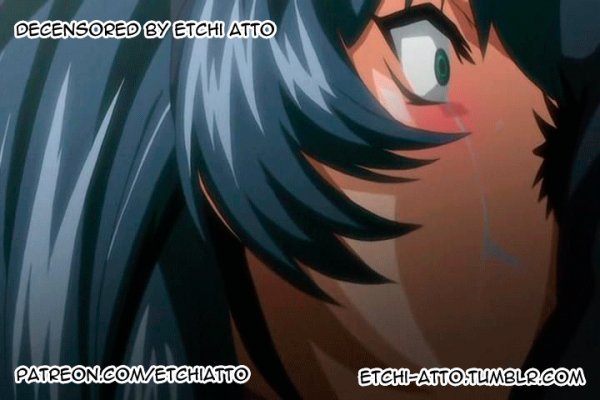 f9350a78463a0c4b9f02faa452306