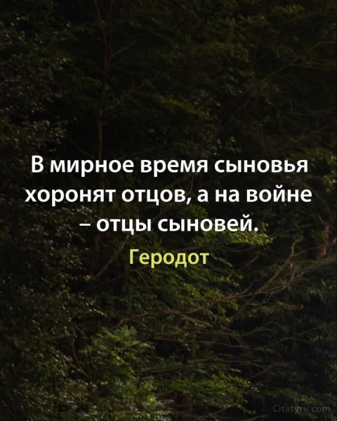 FB IMG 1756875831729