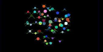 Flies 1.00(0)S60v5th