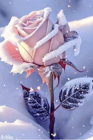 file_95830792