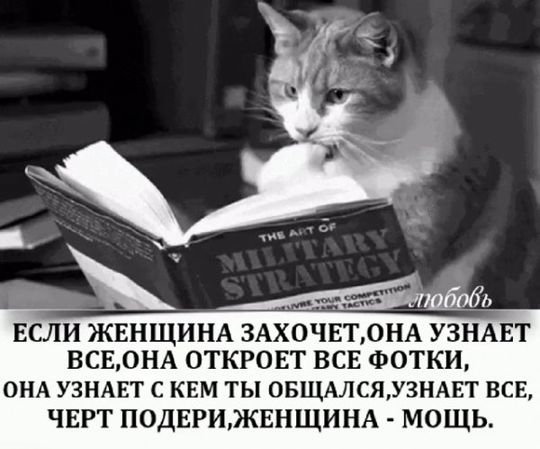 AE-4BE2-4B20-8D25-4C0D4BC470AC