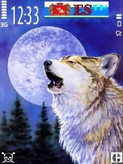 theme 485