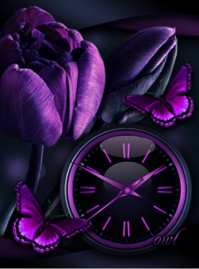 Тюльпаны ночные (Vx)