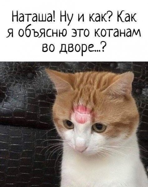 file_102512579