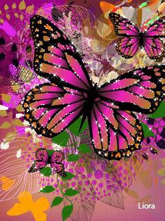 file_62615024