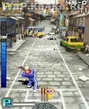 Freddie Flintoff All-round Cricket