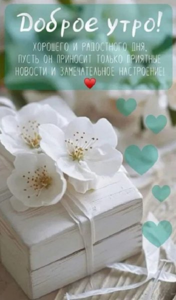 Доброе утро! Хорошего дня...