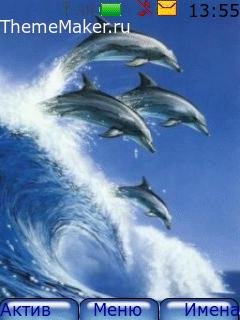 delfiny